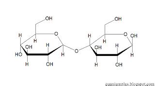 Blog of Science: Carbohydrates