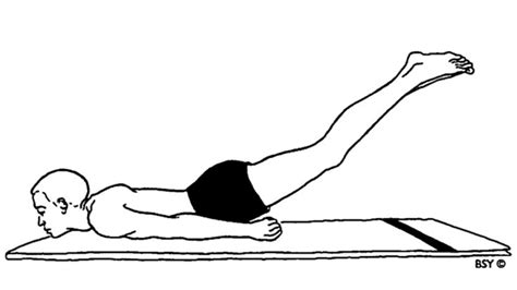 Shalabhasana - Locust Pose In Yoga - World Yoga Forum | Yoga world, Poses, Yoga drawing