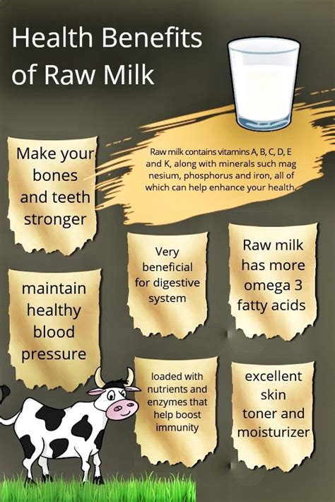 Benefits of Applying Raw Milk on Face - Beautiful You