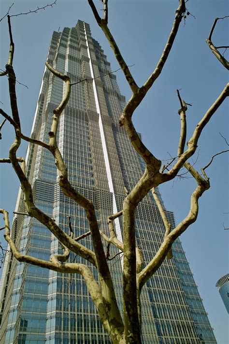 Jin Mao Tower stock photo. Image of asia, china, city - 17589560