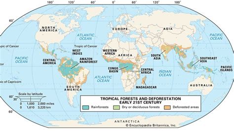 forêt tropicale humide / climat, animaux et faits | Lima