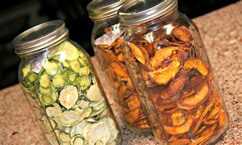 Dehydrated Food Recipes: Step by Step DIY Guide and Expert's Advice