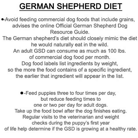 Bethebest3: German Shepherd diet - Diet and useful summary