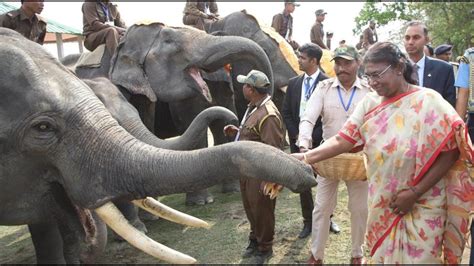 President Droupadi Murmu marks 30 years of Project Elephant at ...