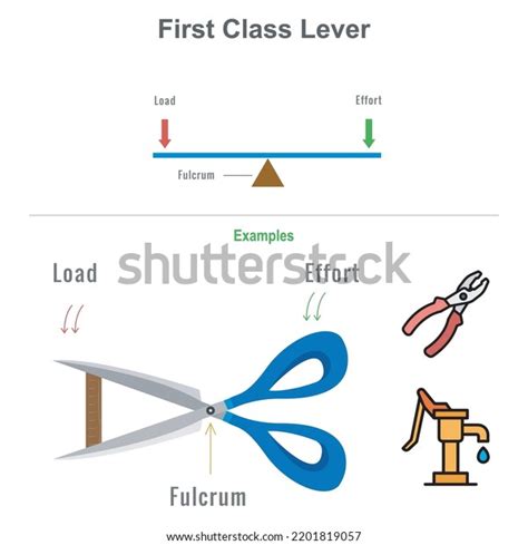 Types Lever Educational Diagram Including First Stock Vector (Royalty ...