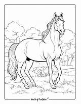 Horse Pictures Coloring Pages sketch template