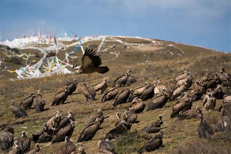 Death Rituals and Funeral Traditions Around the World