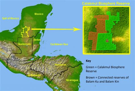 Restoring and protecting Calakmul Biosphere Reserve – Linking Tourism & Conservation