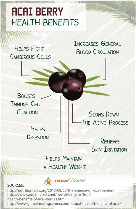 The Top 7 Benefits of the Acai Berry for Health