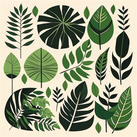 Premium Vector | Jungle leaf vector illustrations