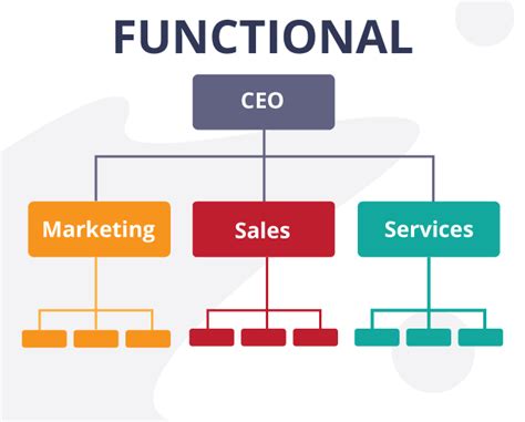 Team Structure For Marketing Agencies: Basics, Importance & Types