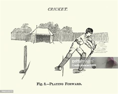 726 Cricket Bat History Stock Photos, High-Res Pictures, and Images ...