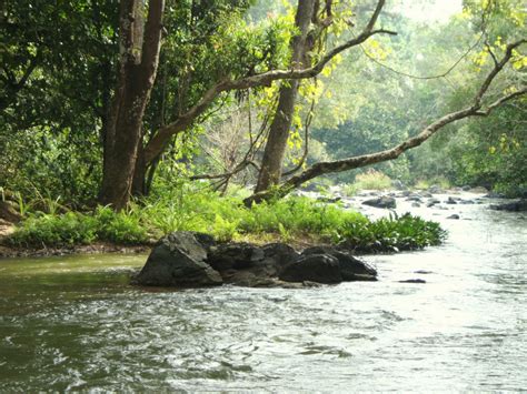 KURUVA ISLAND - WAYANAD Photos, Images and Wallpapers, HD Images, Near by Images - MouthShut.com