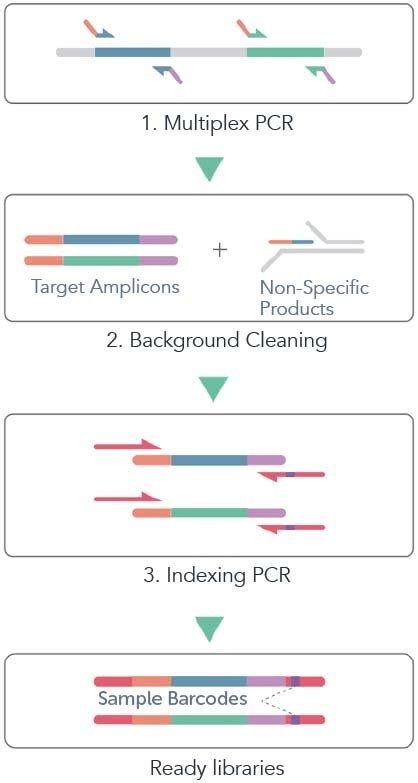 Amplicon Sequencing: Solution For Targeted Amplicon Sequencing