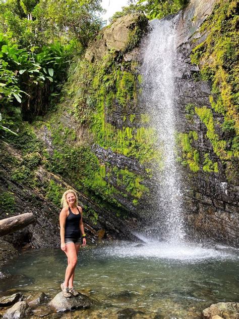 Juan Diego Falls in El Yunque National Forest | El yunque national forest, El yunque rainforest ...