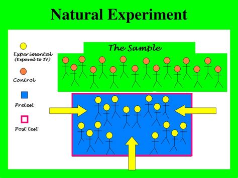 PPT - BHV 390 Experiments PowerPoint Presentation, free download - ID ...