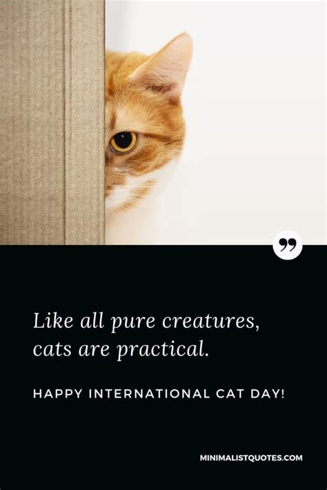 When things go wrong, hug your cat. Happy International Cat Day!