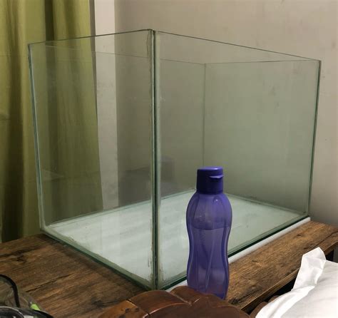 Stocking ideas for 32 gallon aquarium : r/Aquariums