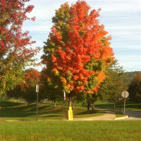 Beautiful Fall day in Pennsylvania! | Beautiful fall, Beautiful, Autumn day