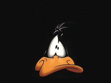 Daffy Duck HD Images