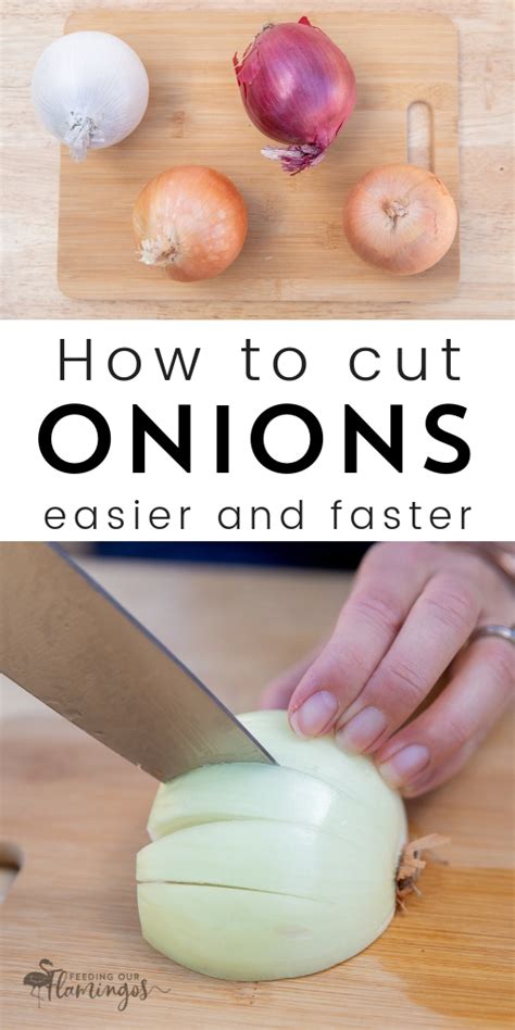 How to Chop Your Onions Faster and Avoid Tears | Feeding Our Flamingos