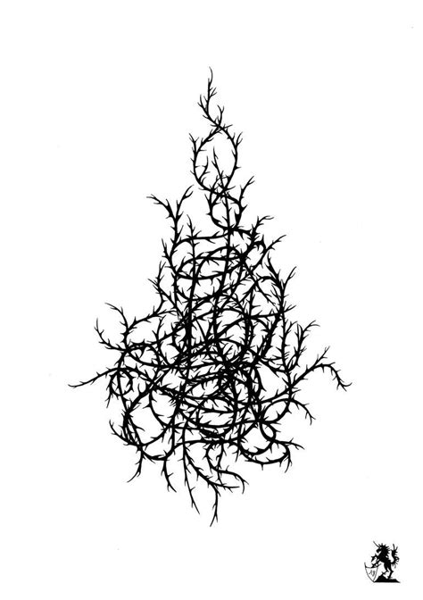 Thorns Drawing by Hubert Cance | Saatchi Art | Vine drawing, Tree drawings pencil, Drawings