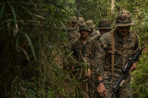 DVIDS - Images - ‘Retreat, Hell!’ Marines complete Okinawa jungle warfare training [Image 6 of 54]