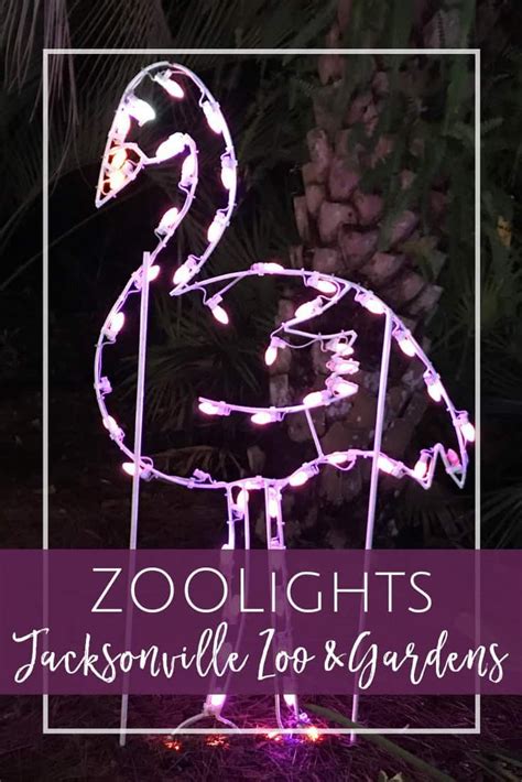 2024 Colors of the Wild Jacksonville ZOOLights Lantern Experience ...