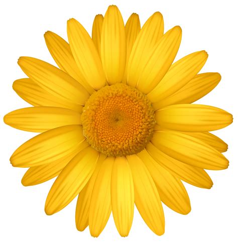 Free daisy clipart public domain flower clip art images and 2 7 - Clipartix