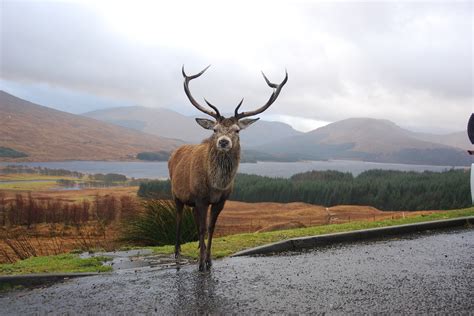 Why Visit The Scottish Highlands? | Inspiring Travel Scotland