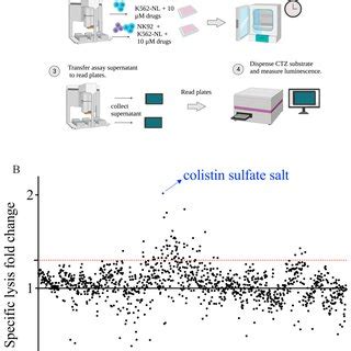 Screening of the Prestwick Chemical Library. (A) Schematic workflow of... | Download Scientific ...