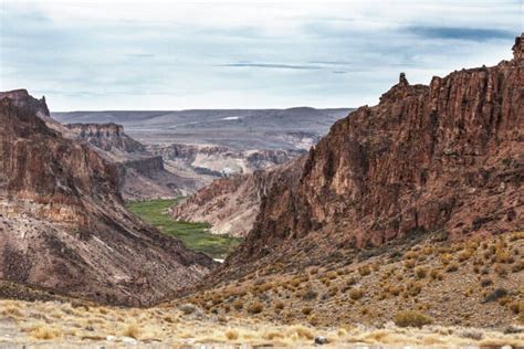 The Patagonian Desert - A-Z Animals