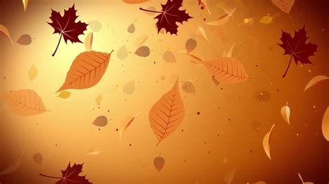 Autumn Leaves Falling Stock Video Footage for Free Download