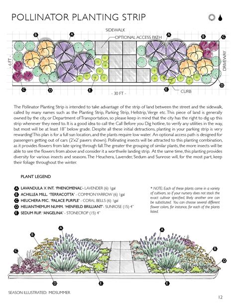 PlantingEBook_pollinator_strip | Flower garden plans, Pollinator garden design, Planting plan