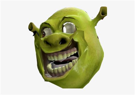 Shrek Dank Meme Face PNG Image | Transparent PNG Free Download on SeekPNG