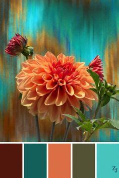 160 Color Color Color ideas | color, colour schemes, color pallets