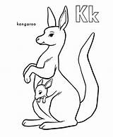 Kangaroo And Joey Coloring Page  Drawing For Kids sketch template
