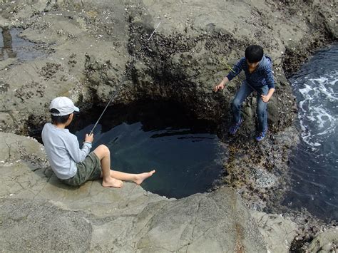 Rockpool fishing, Enoshima | Clare Walmsley | Flickr