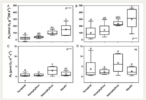 Figure 1 from A perspective on underwater photosynthesis in submerged terrestrial wetland plants ...