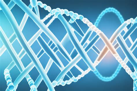 LacZ Gene's Protein Role: Understanding Its Function | Atlas Bar