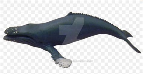 Porpoise Cetaceans Dolphin Animal, PNG, 900x468px, Porpoise, Animal ...