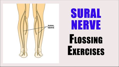 SURAL NERVE ENTRAPMENT | Nerve glide exercises for pain, numbness and tingling in the leg and ...