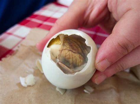 10 Reasons Why Balut is the Ultimate Asian Delicacy