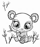 Cute Baby Panda Coloring Pages At GetColoringscom  Free Printable sketch template