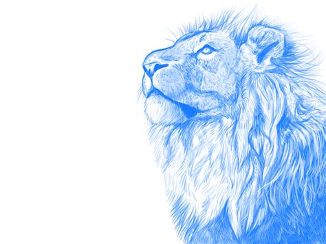 Lion - blue