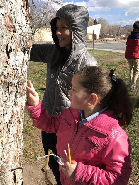 Truckee Meadows Parks Foundation Celebrates AmeriCorps! - Nevada Volunteers