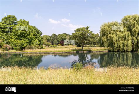 Beddington Park, Wallington, Surrey, UK Stock Photo - Alamy