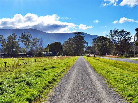 Top 5 Yarra Ranges Attractions - Ivan Teh - RunningMan