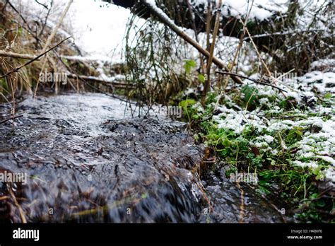 Mountain brook in winter Stock Photo - Alamy