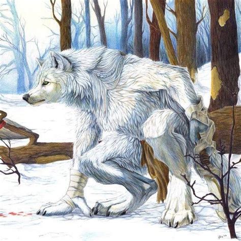 White werewolf | Dibujo de lobo anime, Caricaturas de animales, Animales de anime